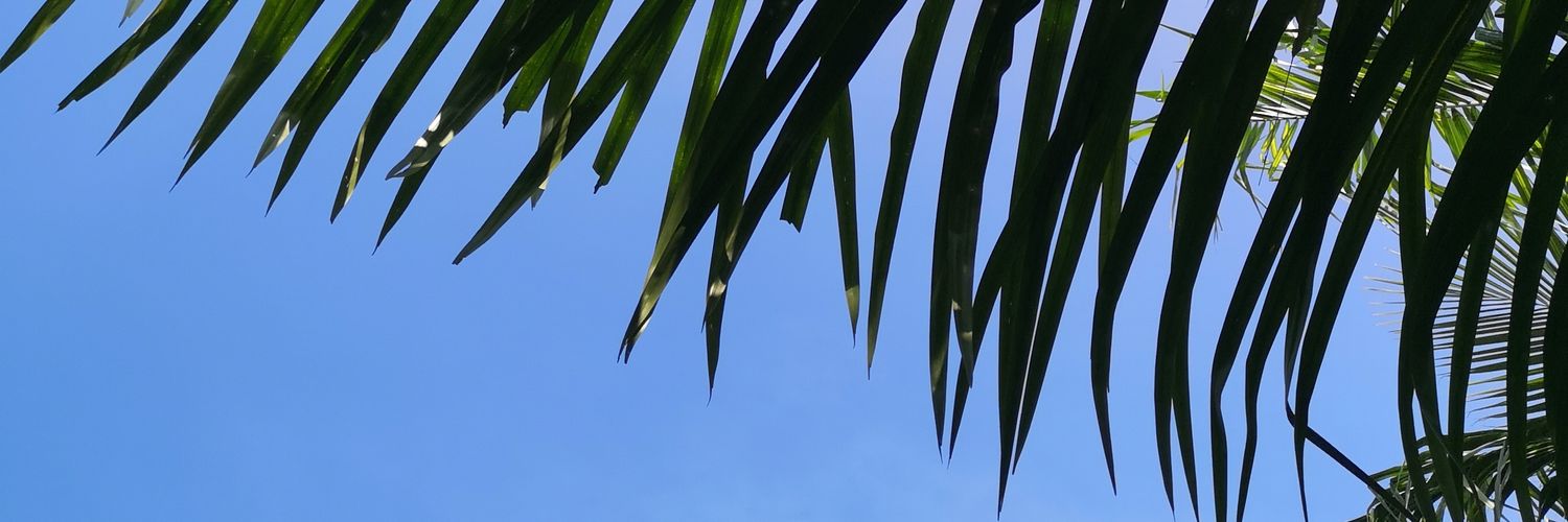 xenon banner
