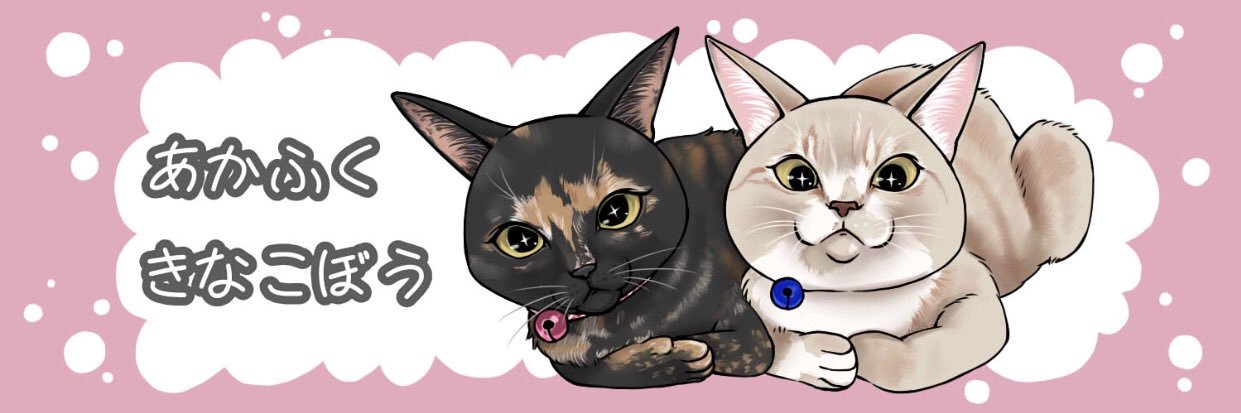 chihocochihoco's profile banner image