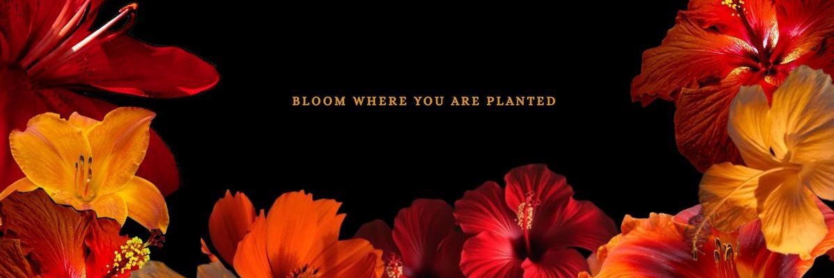wavesour's profile banner image