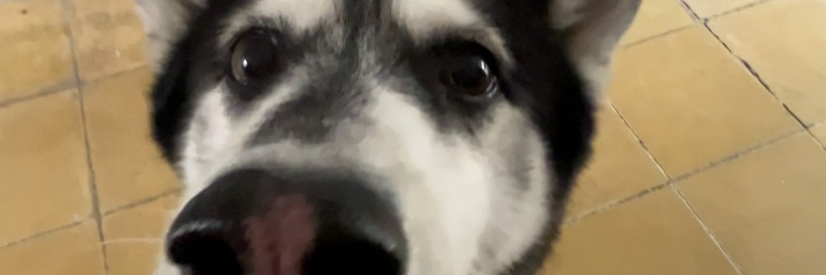 Miremeseg's profile banner image