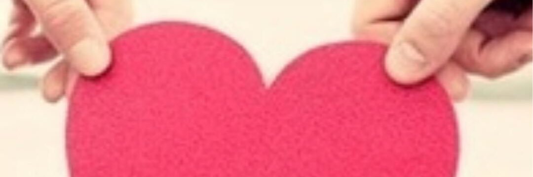 mariposamrtz's profile banner image