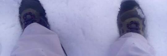 sylvesteramanda's profile banner image