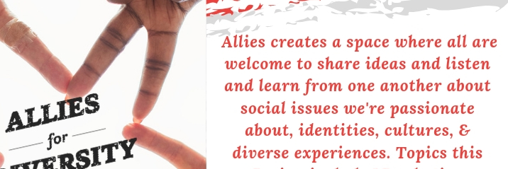 Allies for Diversity banner