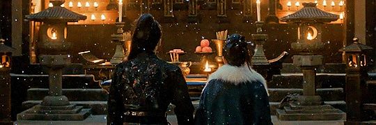 Nutsie🐯🐾 banner