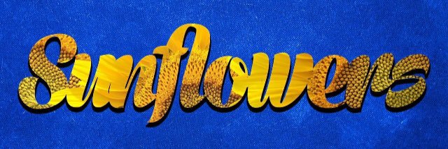 CCS T1 SUNFLOWERS 🌻 banner