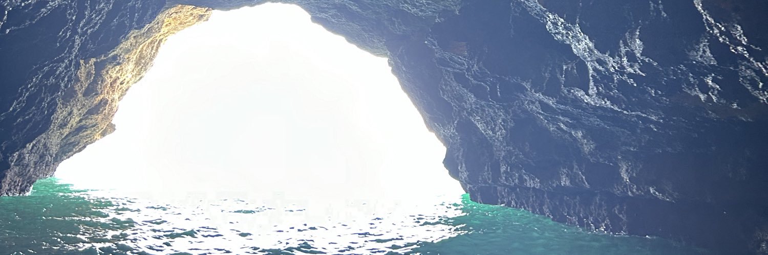 tinocaria's profile banner image