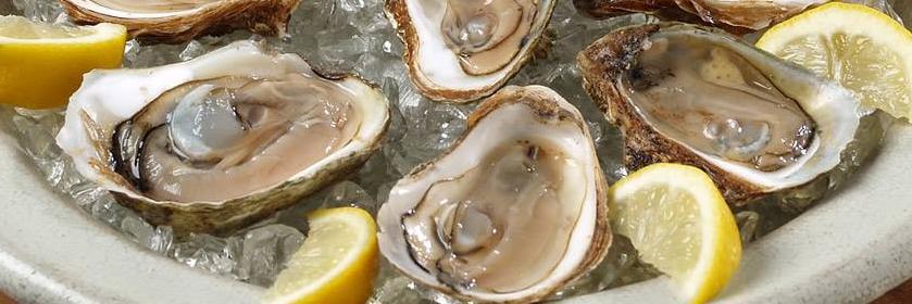 Capt. Benny's banner