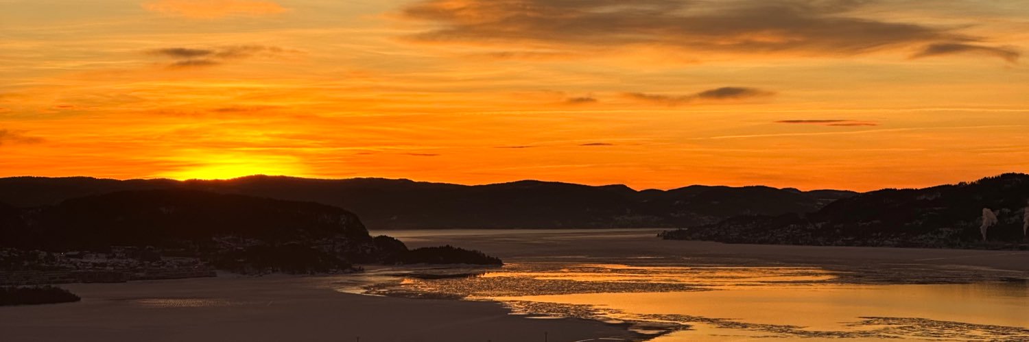 Frode banner