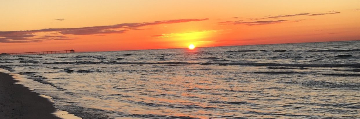 Haley_Molkenbur's profile banner image