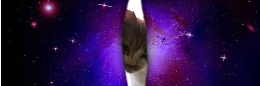 コンドリア水戸's banner