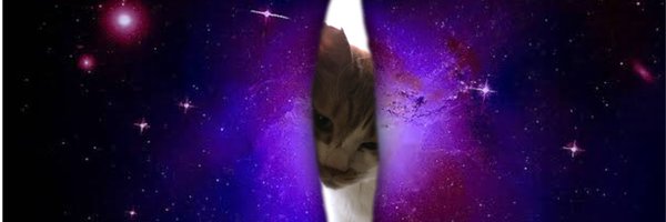 mitoconcon Profile Banner