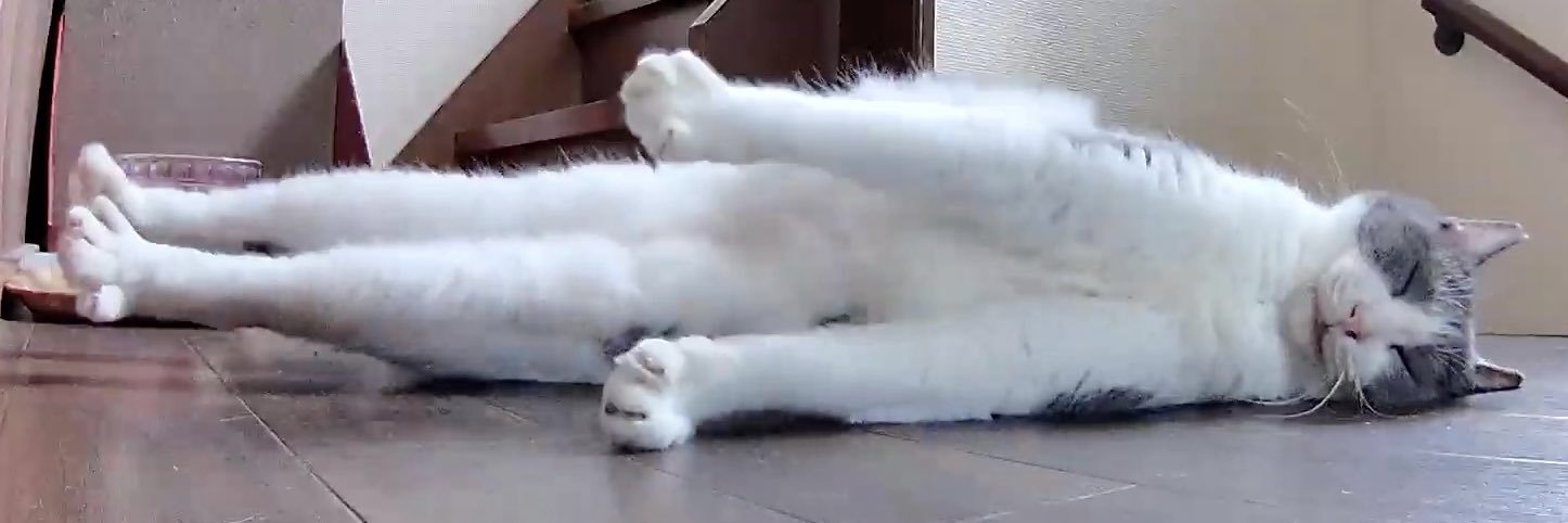 コンドリア水戸 banner