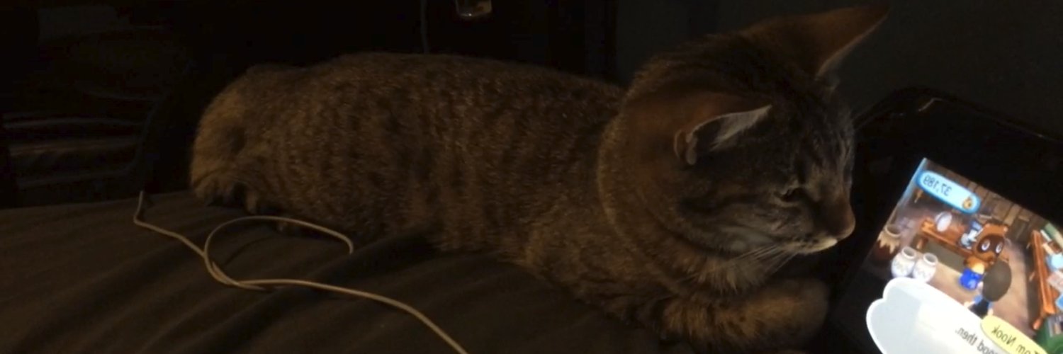 playdoob's profile banner image