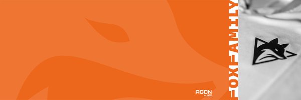 TOGfoxes Profile Banner