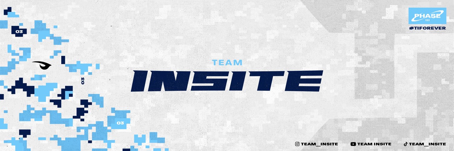 Team Insite banner