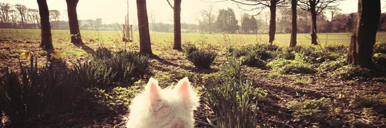 HowR's profile banner image
