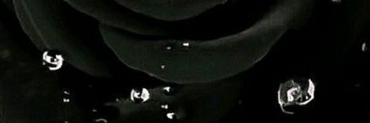 TheeLondy's profile banner image