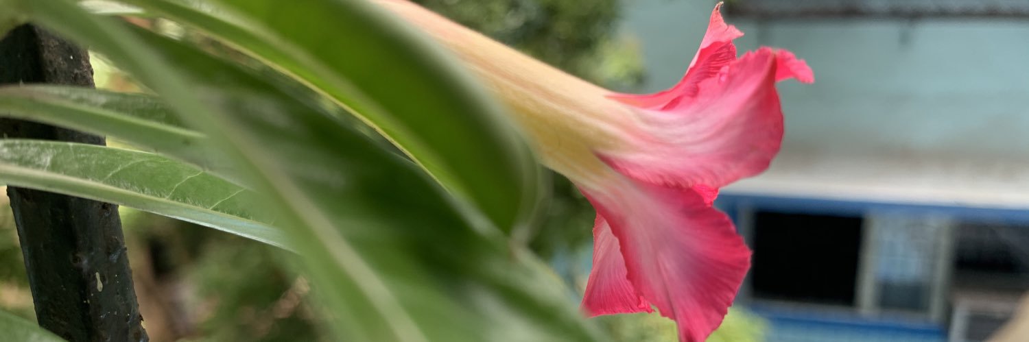 tanmoy76's profile banner image