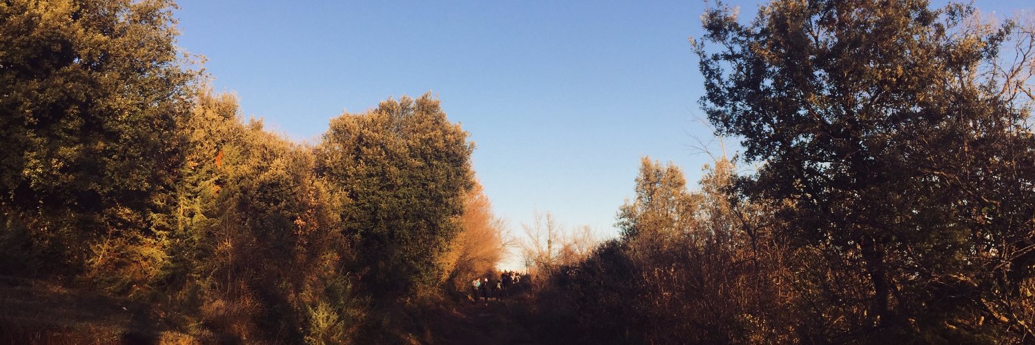 lelamm's profile banner image