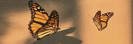 m_el_isma's profile banner image