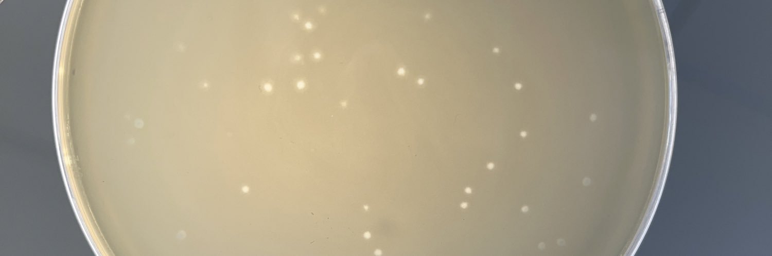 Akash Shambharkar, PhD, MRSB banner