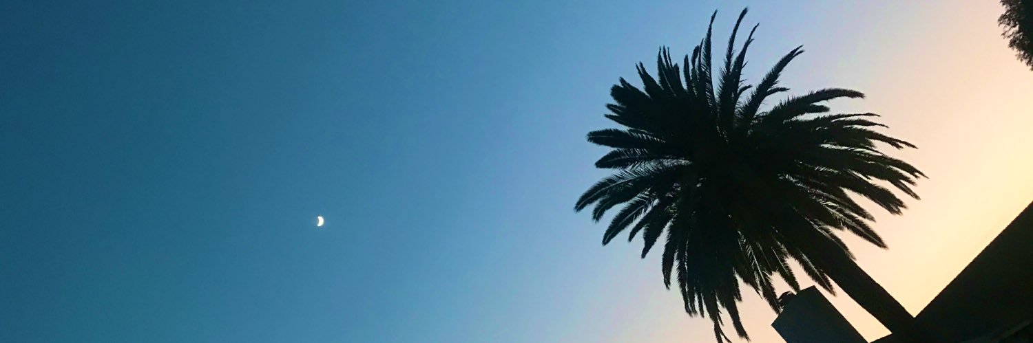 amurikat's profile banner image