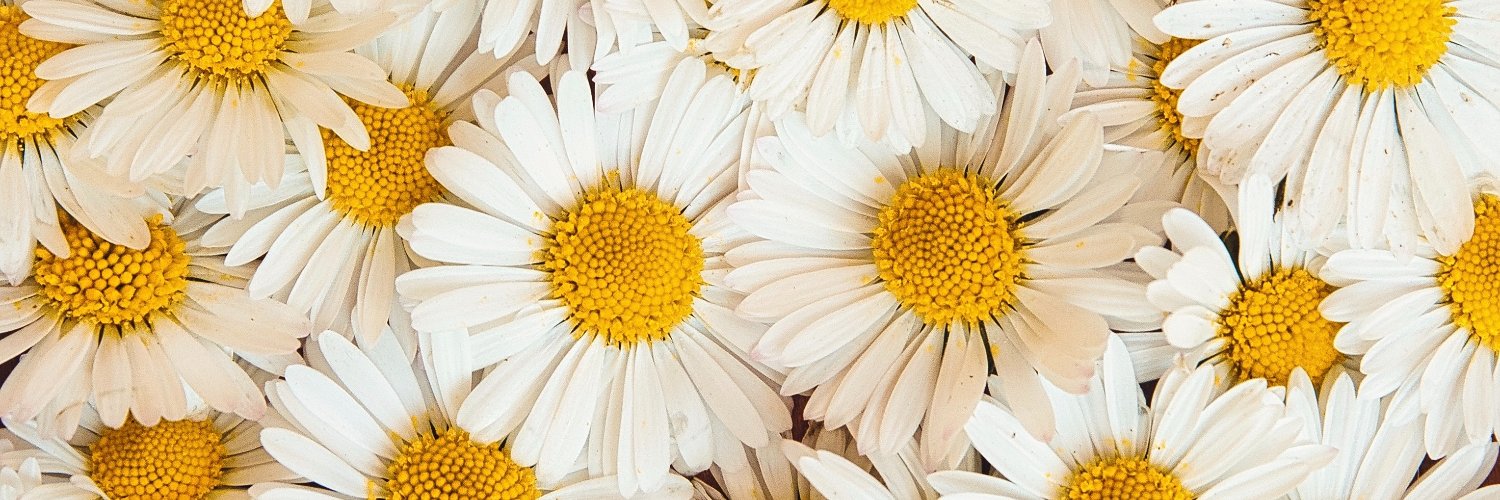 cynthnns's profile banner image