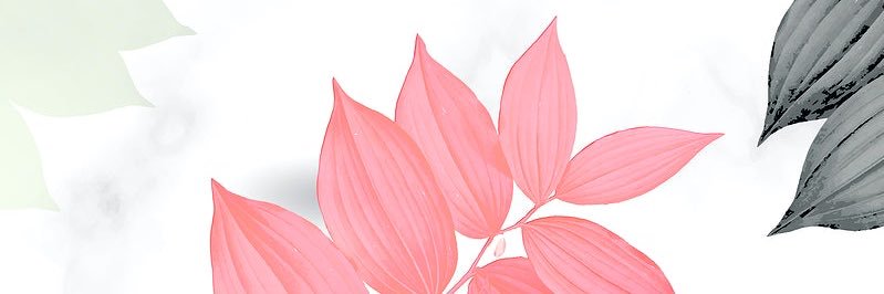 pratomabala's profile banner image