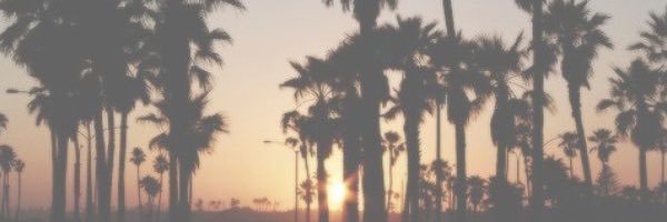 MagnificoLV's profile banner image