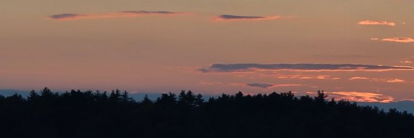 amyboyer71 Profile Banner