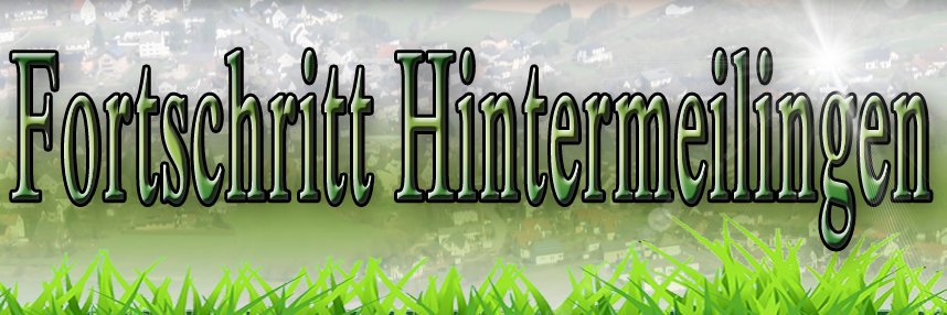 Hamburger Rindviecher United banner
