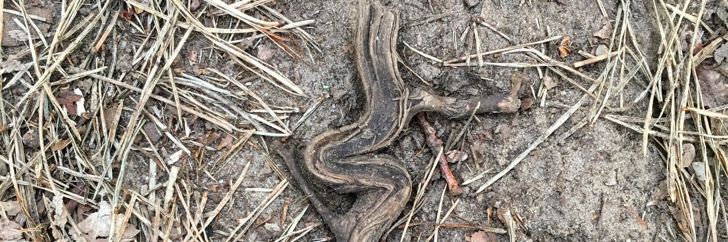 marcelweiss@mastodon.social 🌻 banner