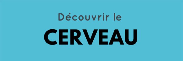 CerveauEn Profile Banner