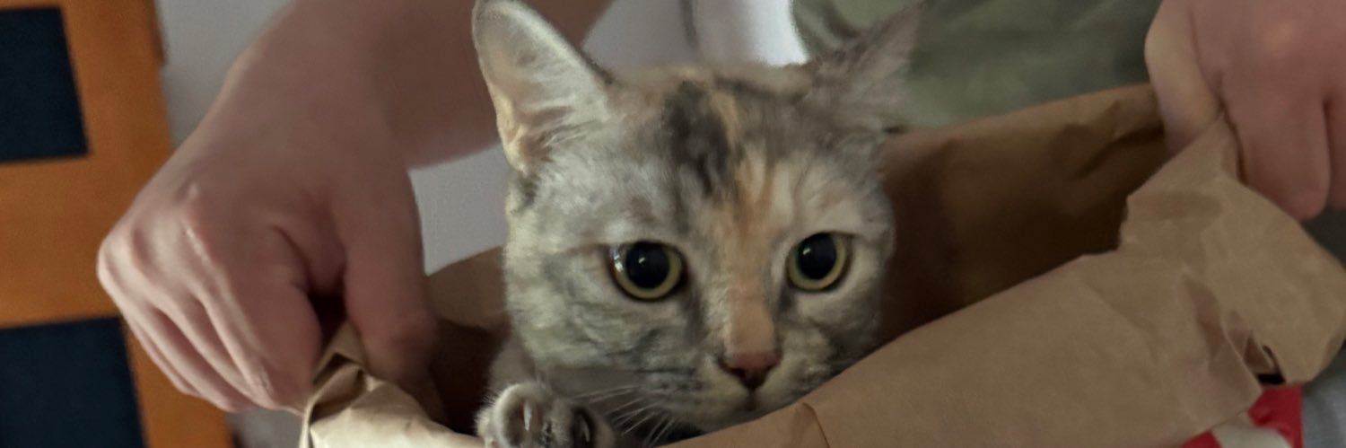 Cat butt & Food banner