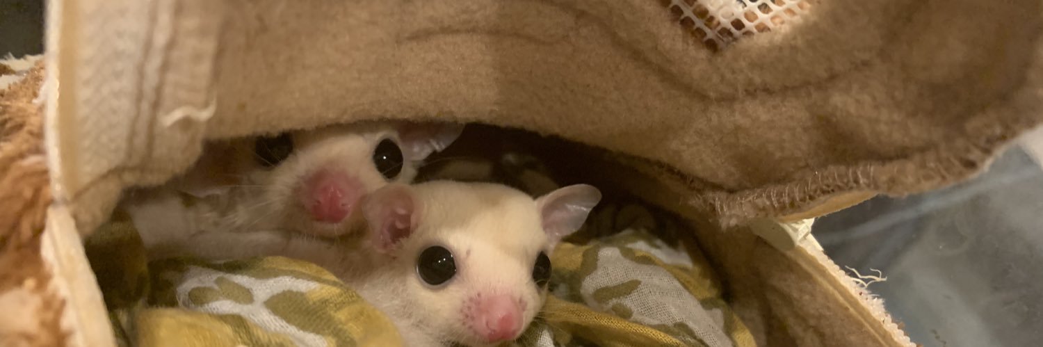 ひろあき banner