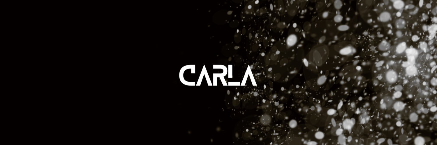 Carla Outes banner