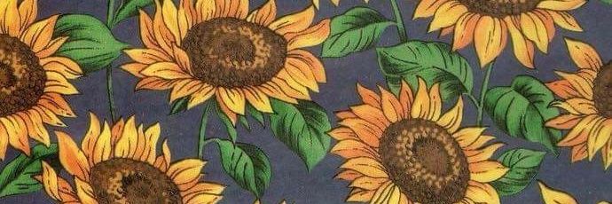 YadiraStoneg's profile banner image