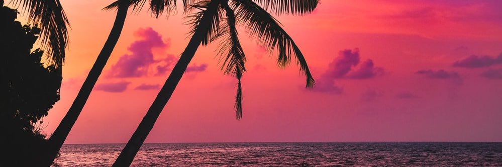 carlusreed's profile banner image