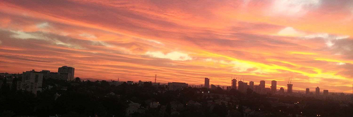 Gal Rudich 🇮🇱 banner