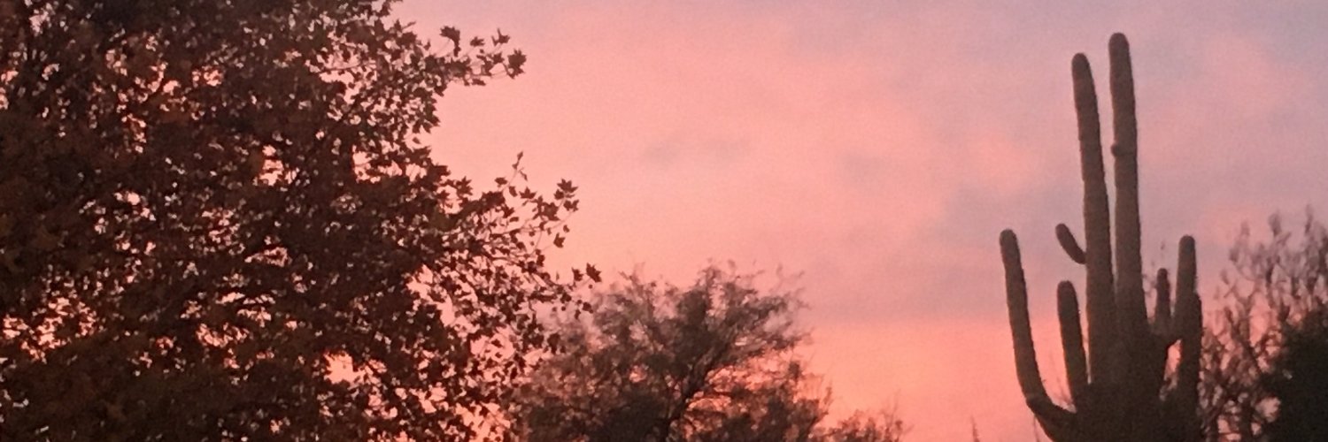 PattisSundogs's profile banner image