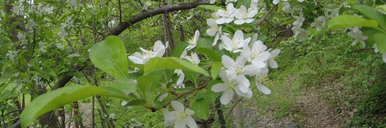 Lower Merion Twp. banner
