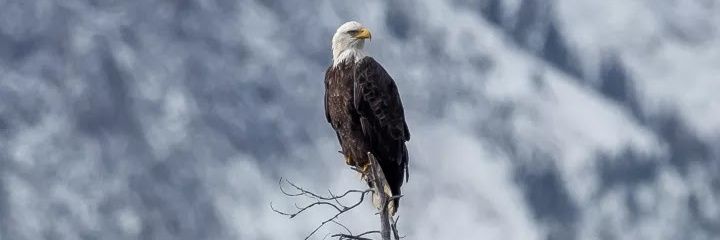 nim_thanut's profile banner image