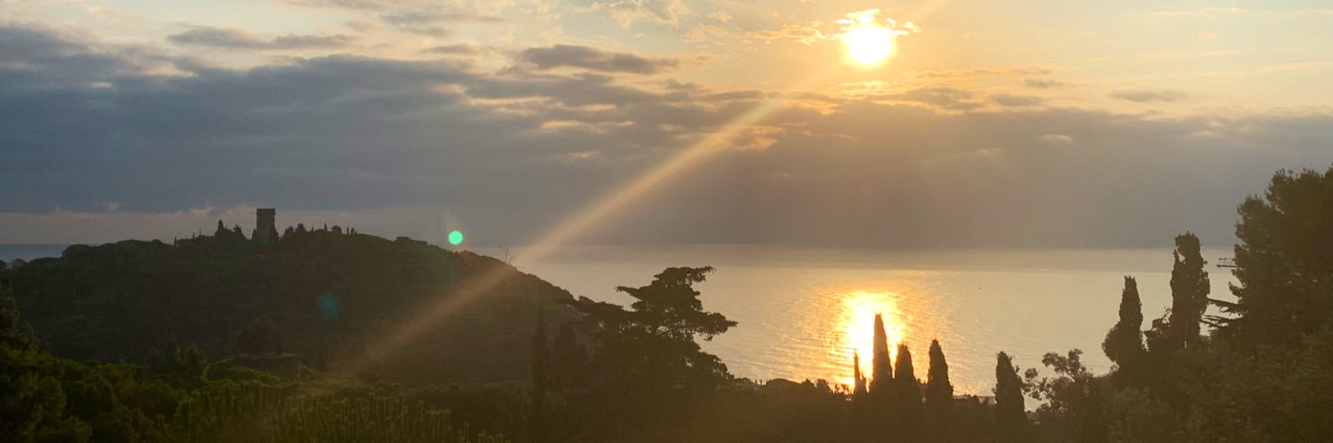 Carles Ransanz banner