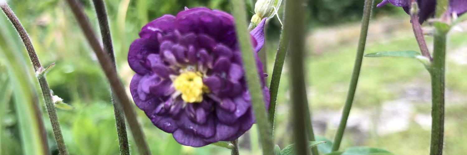 🎶 Edwige K 🎶 banner