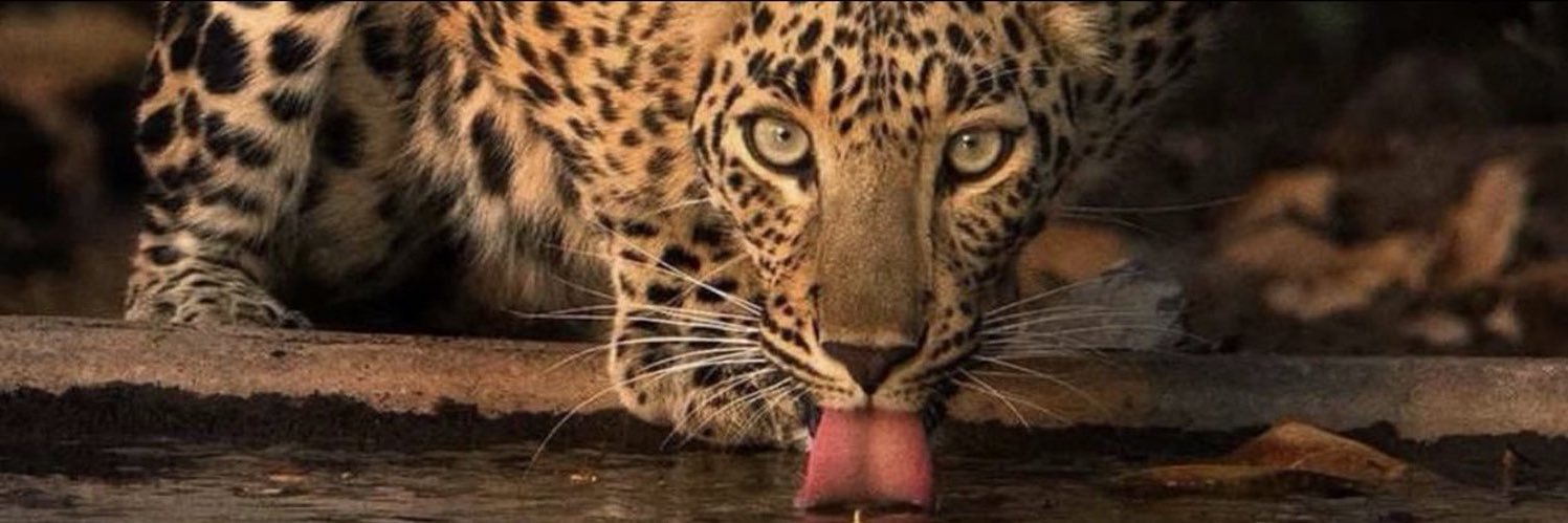 naty69157's profile banner image