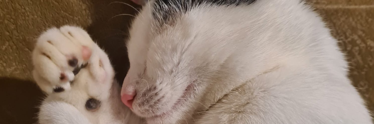 roiamin_'s profile banner image