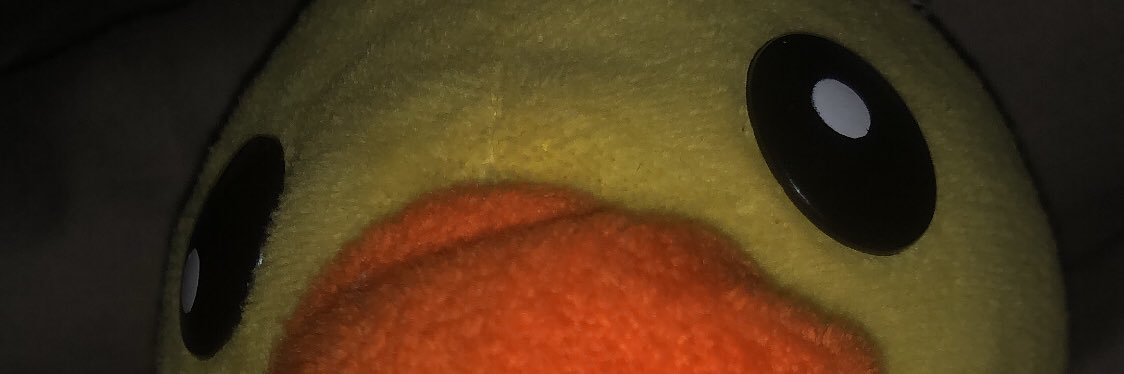 x49x's profile banner image