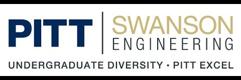 Pitt EXCEL banner
