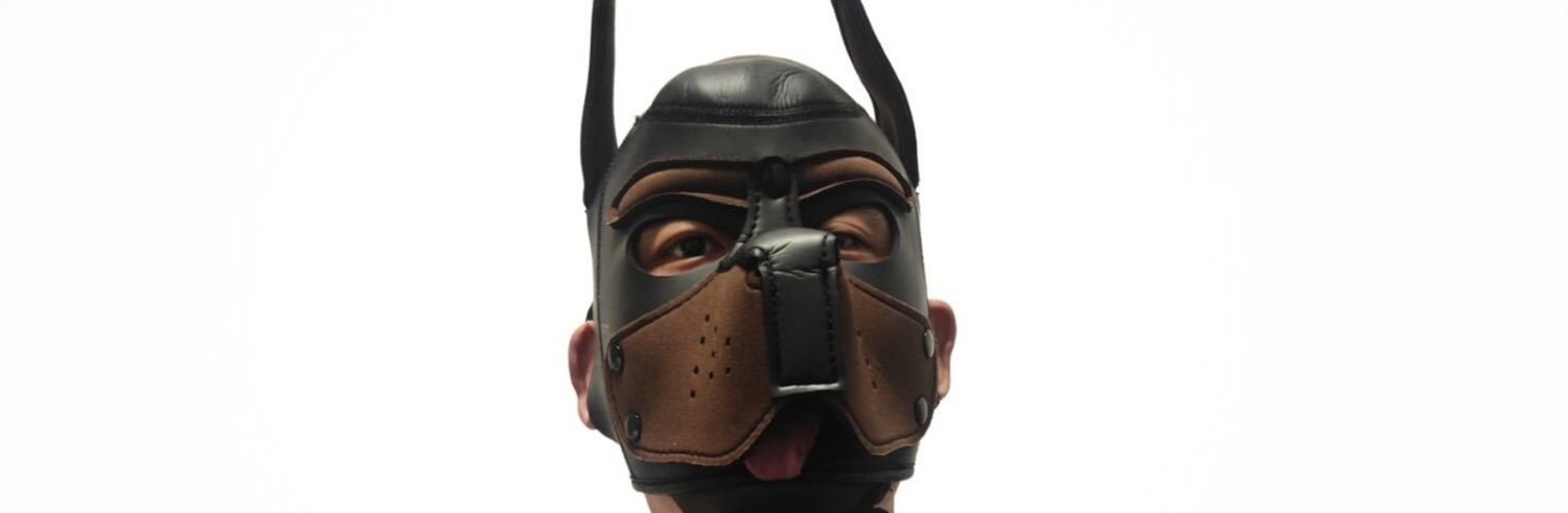 stone_dogslave's profile banner image