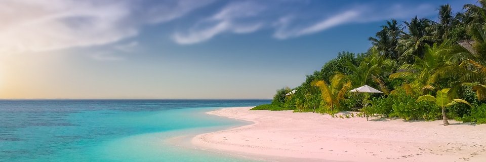 PineapplePassp1's profile banner image